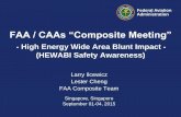 FAA / CAAs “Composite Meeting”