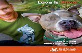 Love Is Blind - resc-files-prod.s3.us-west-1.amazonaws.com