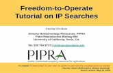 Freedom-to-Operate Tutorial on IP Searches