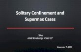Solitary Confinement and Supermax Cases