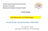 Pathology Introduction to Pathology - Lecture Notes - TIU