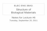 Structure of Biological Materials - ece.mcmaster.ca