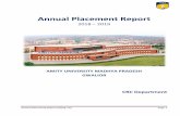 Annual Placement Report - Amity