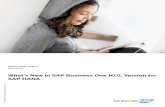 What's New in SAP Business One 10.0, Version for SAP HANA
