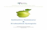 Initiative Summary Evaluation Synopsis