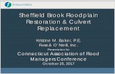 Sheffield Brook Floodplain Restoration & Culvert Replacement