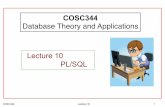 Lecture 10 PL/SQL