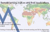 Remote sensing indices and their applications