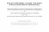 ELECTRONIC CASE FILING PROCEDURES MANUAL