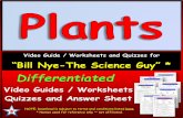 Video Guide / Worksheets and Quizzes ... - Yellow Grade 4 Team