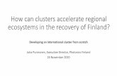 How can clusters accelerate regional ecosystems in the ...