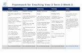 Framework for Teaching Year 3 Term 3 Week 3