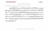 2022 Violin Excerpts - Carnegie Hall