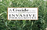 AGuide to the Control and Management INVASIVE phragmites