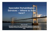 Specialist Rehabilitation Services – Where to from here?