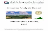 Situation Analysis Report - Shenandoah County