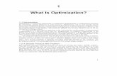 1 What Is Optimization? - Tec