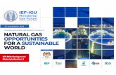 Panel Session 1 - Global LNG Hub | LNG market analysis