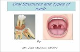 Oral Structures and Types of teeth