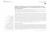 PKC-theta is a novel SC35 splicing factor regulator in ...