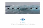 Ice Guide - NOAA Pacific Marine Environmental Laboratory ...