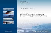 REPORT - SINTEF