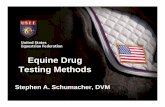 Equine DrugEquine Drug Testing Methods