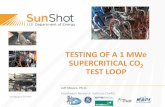 TESTING OF A 1 MWe SUPERCRITICAL CO TEST LOOP