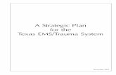 A Strategic Plan for the Texas EMS/Trauma System