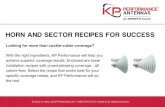 HORN AND SECTOR RECIPES FOR SUCCESS