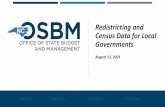 Redistricting and Census Data for Local Governments
