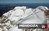 MENDOZA - Wines of Argentina