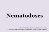 Nematodoses - USMF