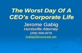 CEO’s Corporate Life