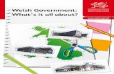 Welsh Government: What’s it all about?