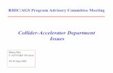 Collider-Accelerator Department Issues