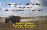 Site-specific Soil Fertility Management