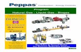 Program Natural Gas - Liquid Gas - Biogas