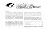 Diversity and cultural use of Enset (Enset ventricosum ...