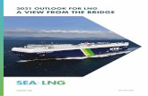2021 OUTLOOK FOR LNG A VIEW FROM THE BRIDGE