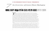 An Overview of Green Plant Phylogeny - Bio-Nica