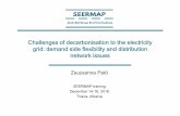 Challenges of decarbonisation to the electricity grid ...