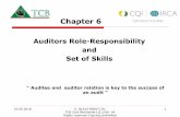 Auditors Role-Responsibility and Set of Skills