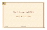 Shell Scripts in UNIX