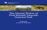 The Maned Wolves of Noel Kempff Mercado National Park