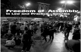 Freedom of Assembly in Law - humanrights.ge