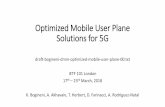 Optimized Mobile User Plane Solutions for 5G