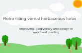 Improving biodiversity and design in woodland planting