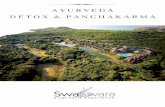 SwaSwara Ayurveda Detox & Panchakarma 2021-DMC
