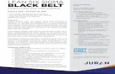 Lean Six Sigma Black Belt Program - Juran